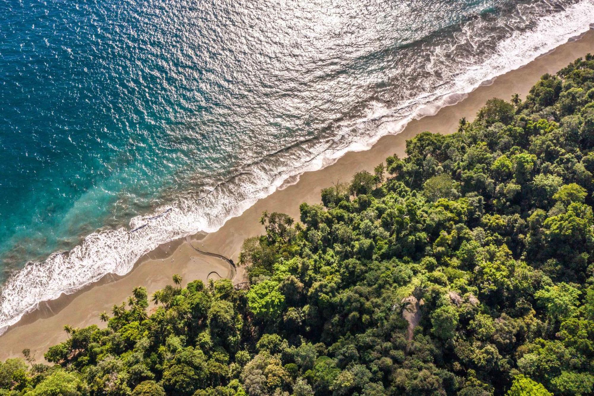 El Remanso Rainforest Lodge Puerto Jiménez Exteriör bild