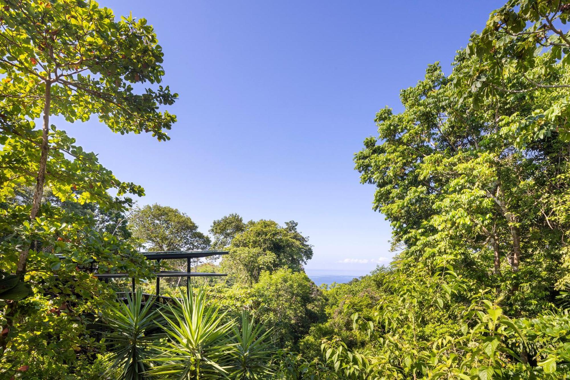 El Remanso Rainforest Lodge Puerto Jiménez Exteriör bild