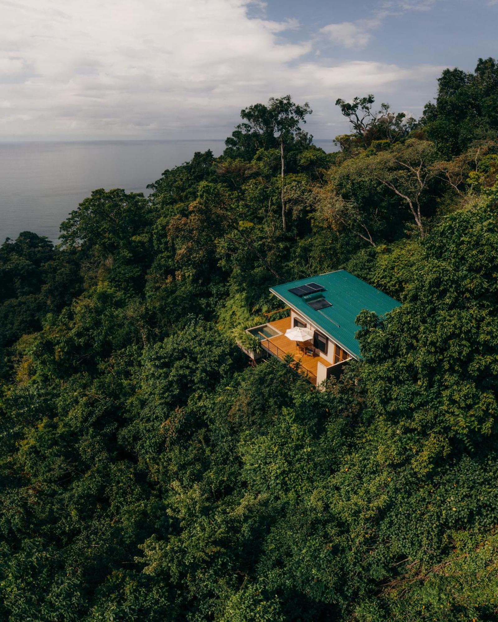 El Remanso Rainforest Lodge Puerto Jiménez Exteriör bild