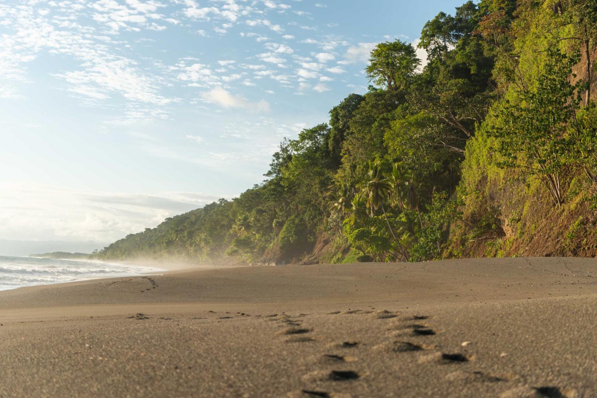 El Remanso Rainforest Lodge Puerto Jiménez Exteriör bild
