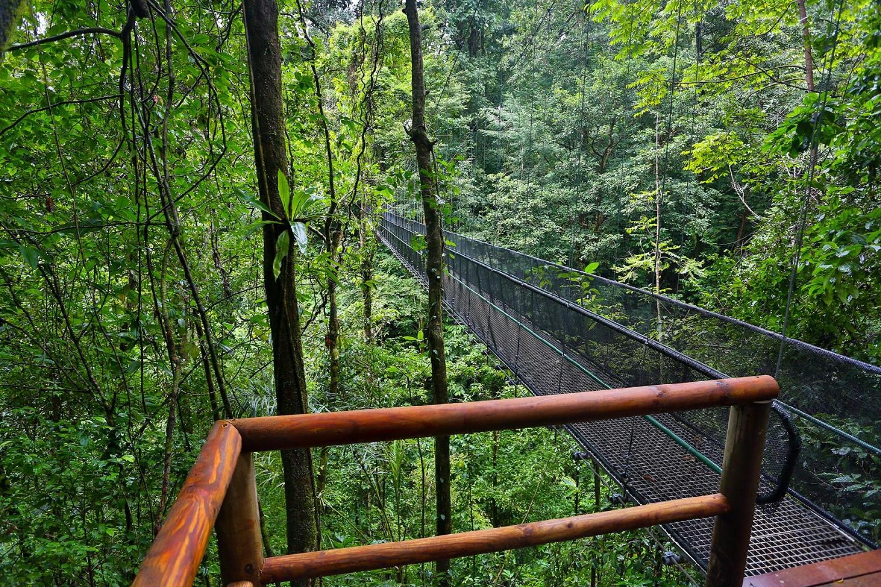 El Remanso Rainforest Lodge Puerto Jiménez Exteriör bild