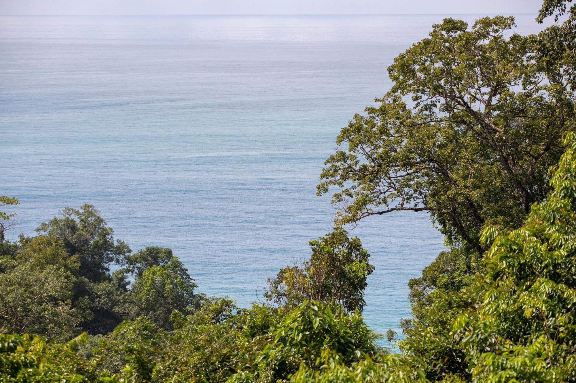 El Remanso Rainforest Lodge Puerto Jiménez Exteriör bild