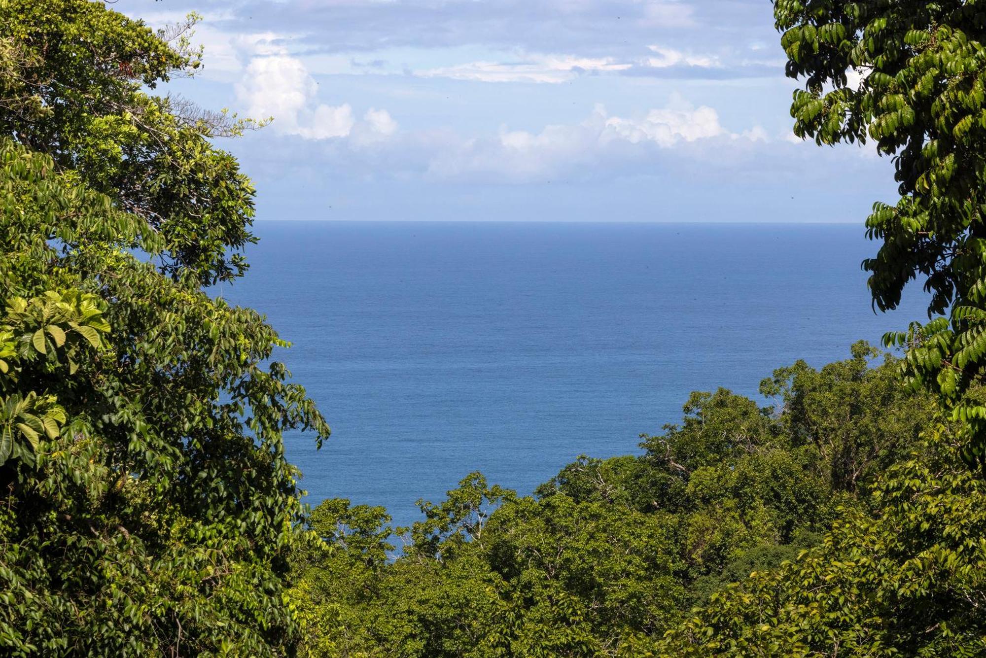 El Remanso Rainforest Lodge Puerto Jiménez Exteriör bild